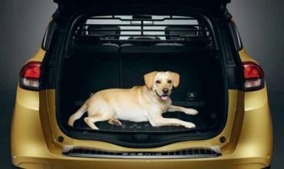 renault clio dog guard