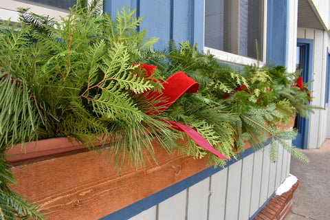 10 Best Types of Fresh Greenery for Holiday Decorating