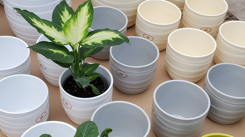 What You Should Know About Plant Container Pots - Flower Works, LLC