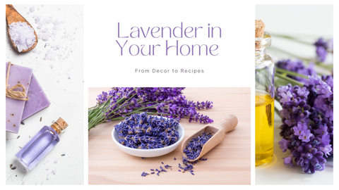 Spruce up your Home decor with Lavender