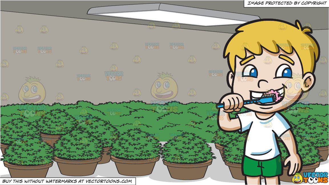 A Boy Brushing His Teeth And A Grow Room Full Of Potted Plants