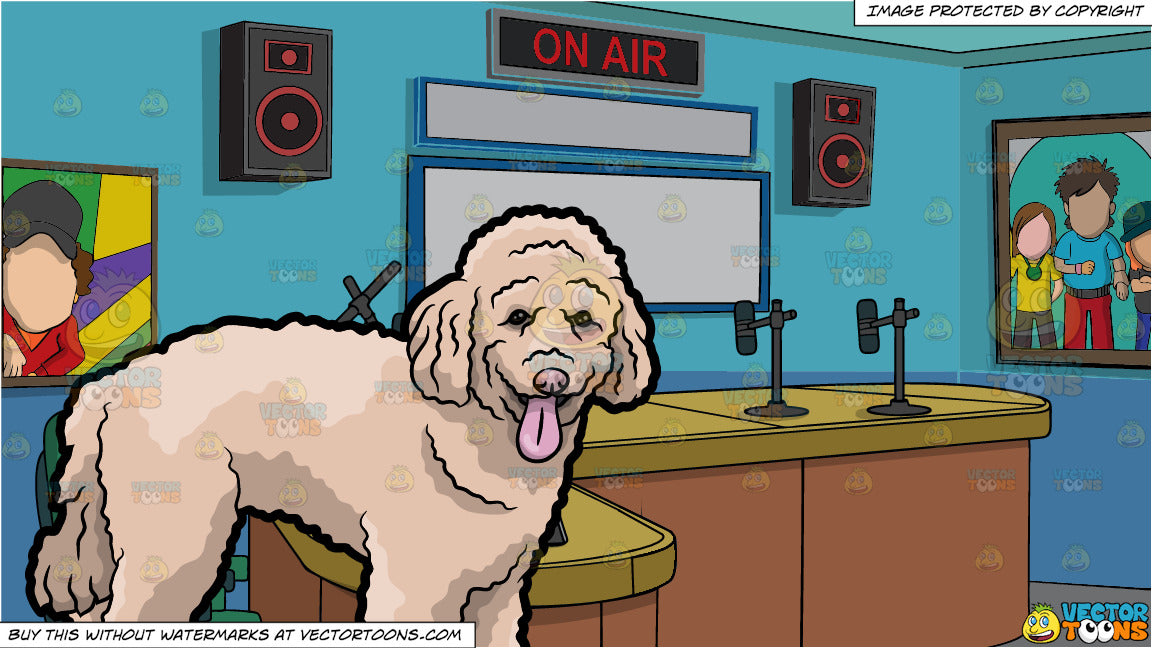 calming radio station for dogs
