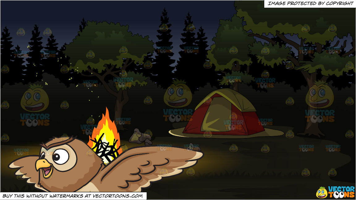 19++ Night Owl Camping