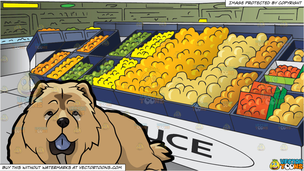 dog grocery store