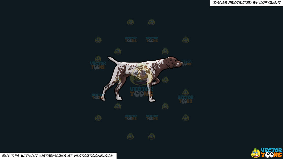 Clipart A German Shorthaired Pointer Pet Dog With A Nice Form On A So Clipart Cartoons By Vectortoons