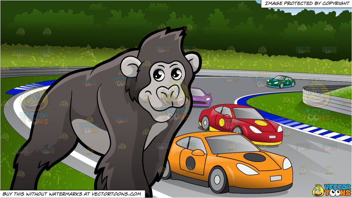 gorilla car track