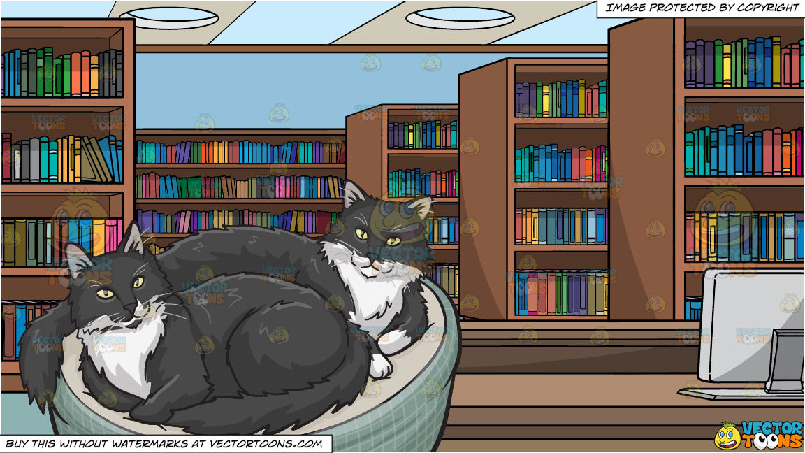 A Pair Of Black And White Cats In A Cat Bed And Library