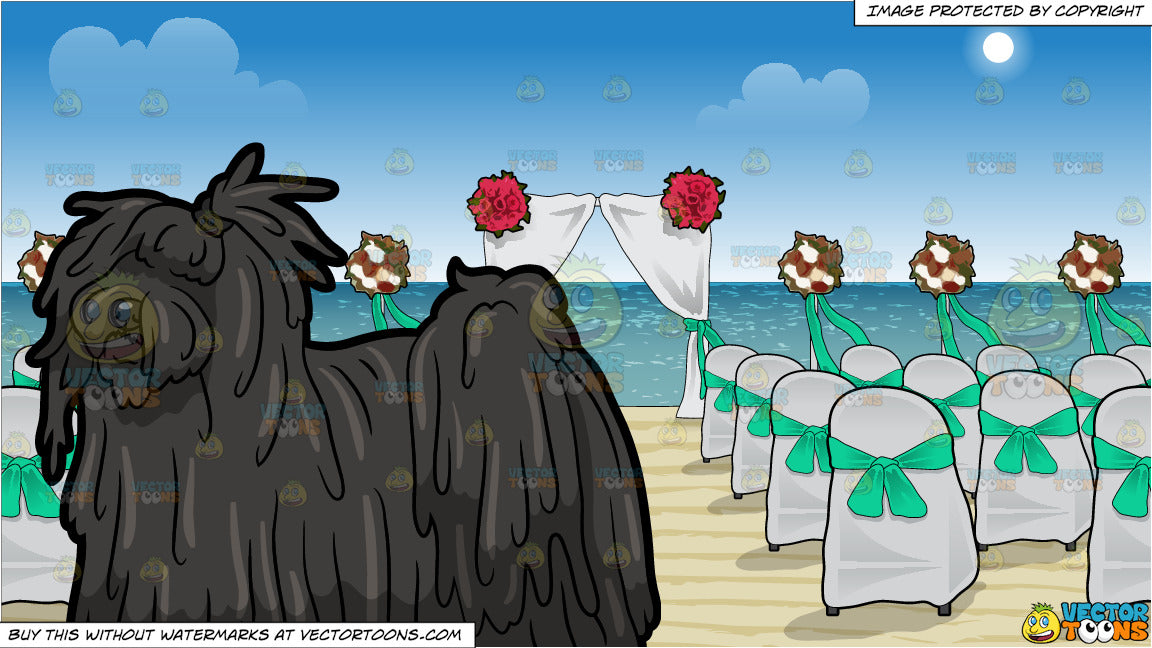 A Pretty Puli Dog And Chairs And A Canopy Set Up For A Beach Wedding