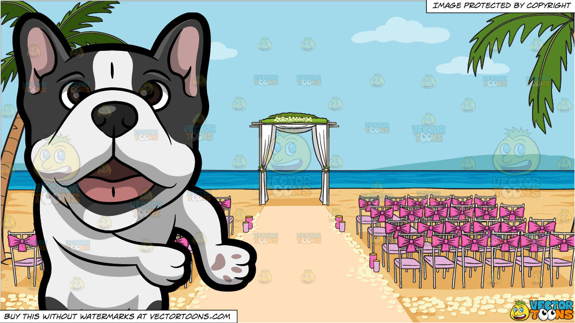 A Very Happy French Bulldog And A Beach Wedding Ceremony Venue