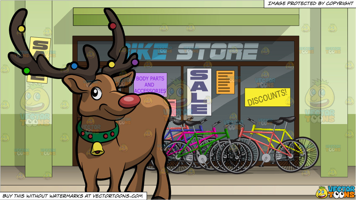 bike shop red deer