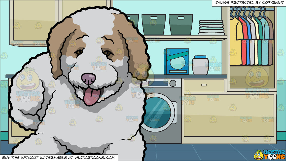 An Adorable Spanish Water Dog And A Laundry Room Background