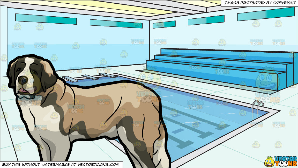 st bernard swimming pool