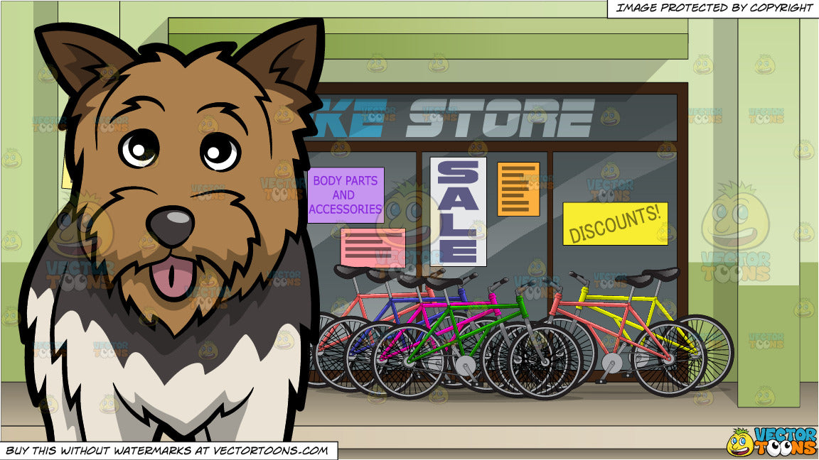 bike shop yorkshire