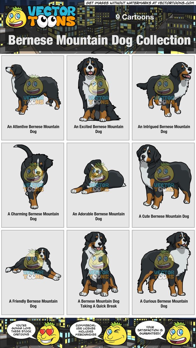Download Bernese Mountain Dog Collection Clipart Cartoons By Vectortoons PSD Mockup Templates