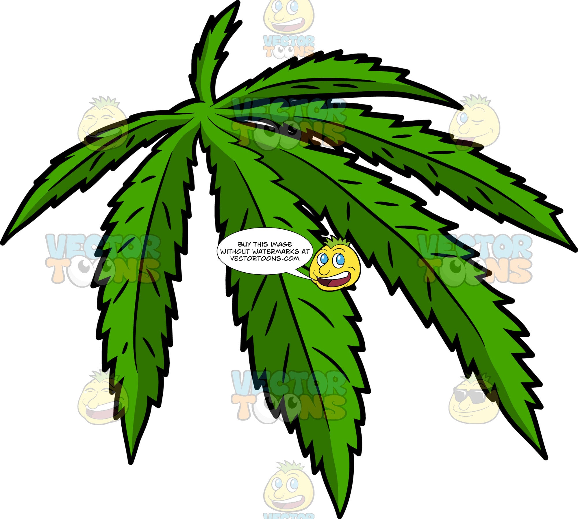 Cartoon: A Green Pot Leaf | Clipart Images