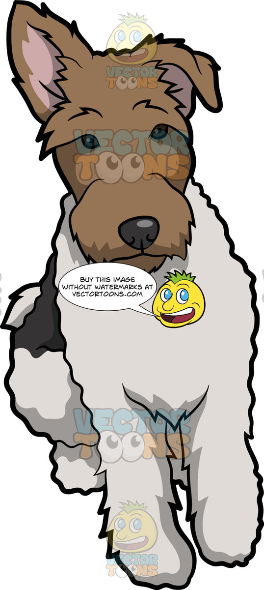 A Cute And Adorable Looking Wire Fox Terrier Clipart Cartoons By