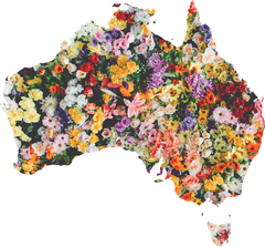 map of australia made of flowers
