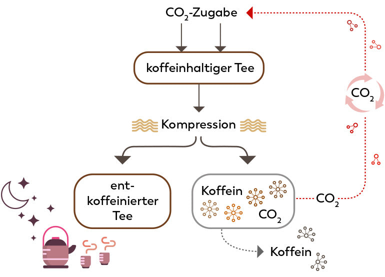 Der Entkoffeinierungsprozess mit CO<sub>2</sub>