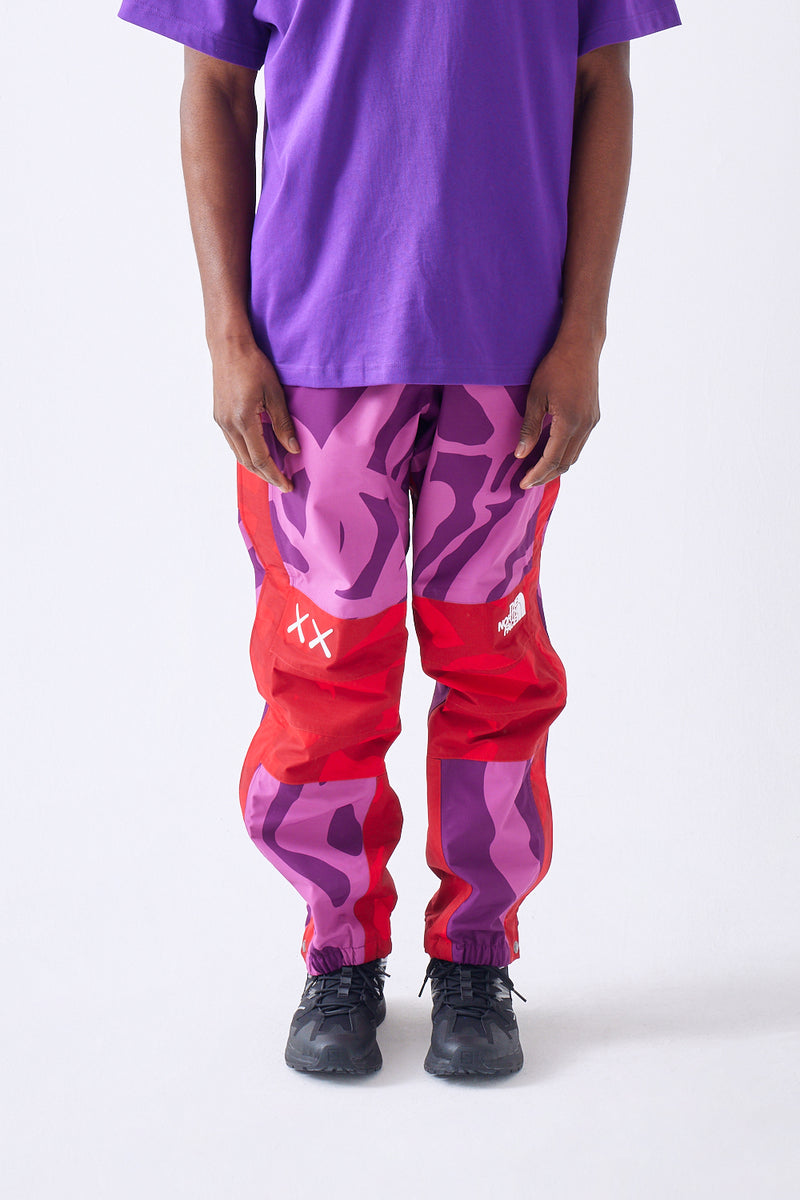 KAWS xThe North Face Mountain Light Pant