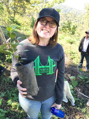 Kasi with baby coffee tree