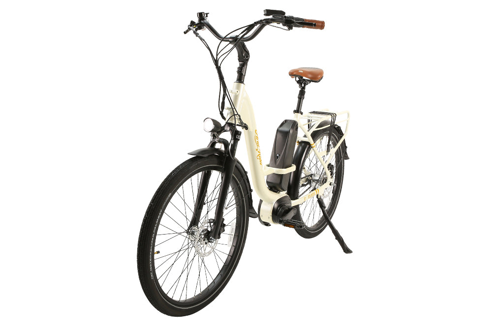 ariel electric bike review