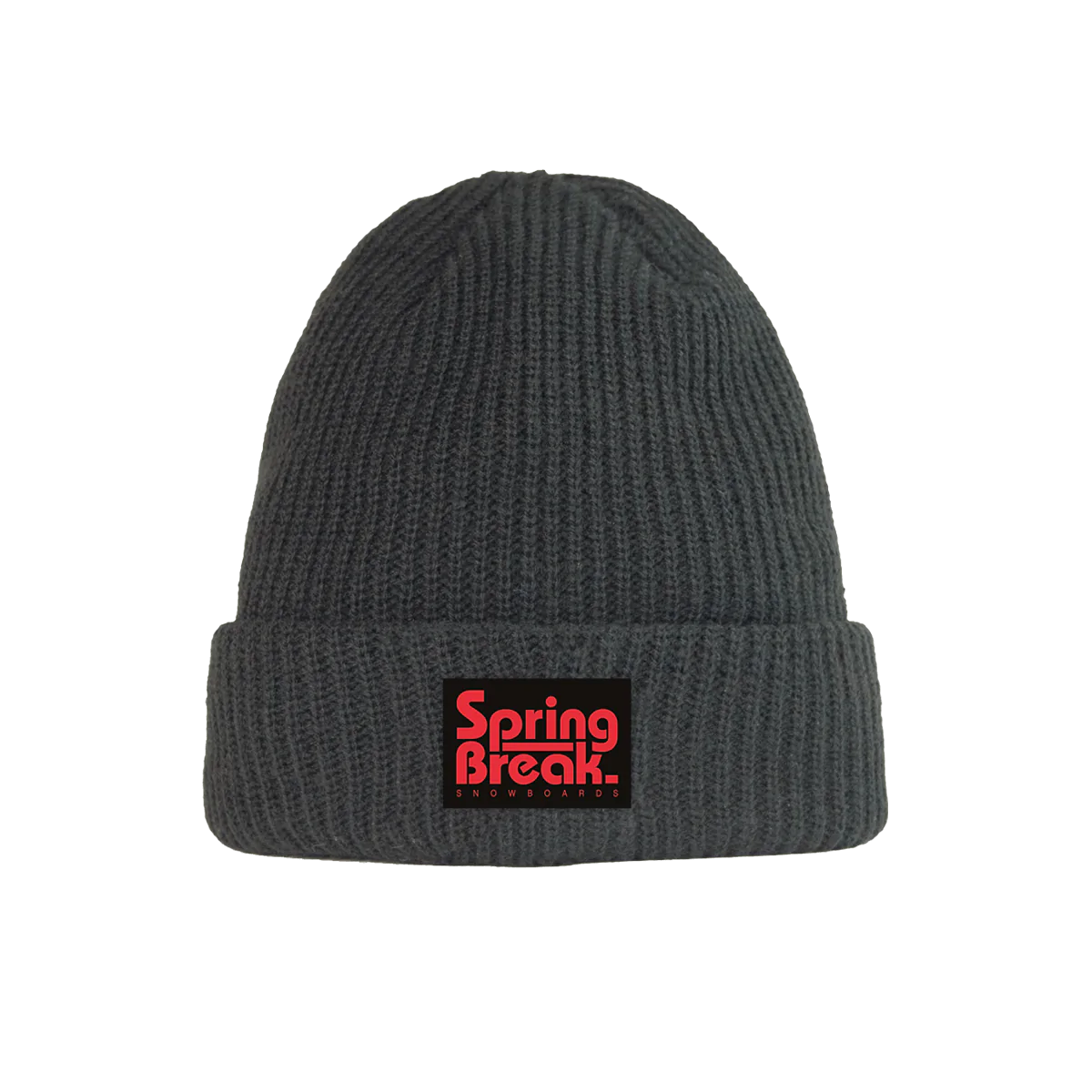 Capita Beanie Spring Break