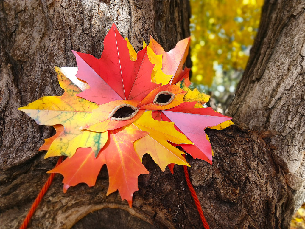 fall autumn leaf leaves projects for kids