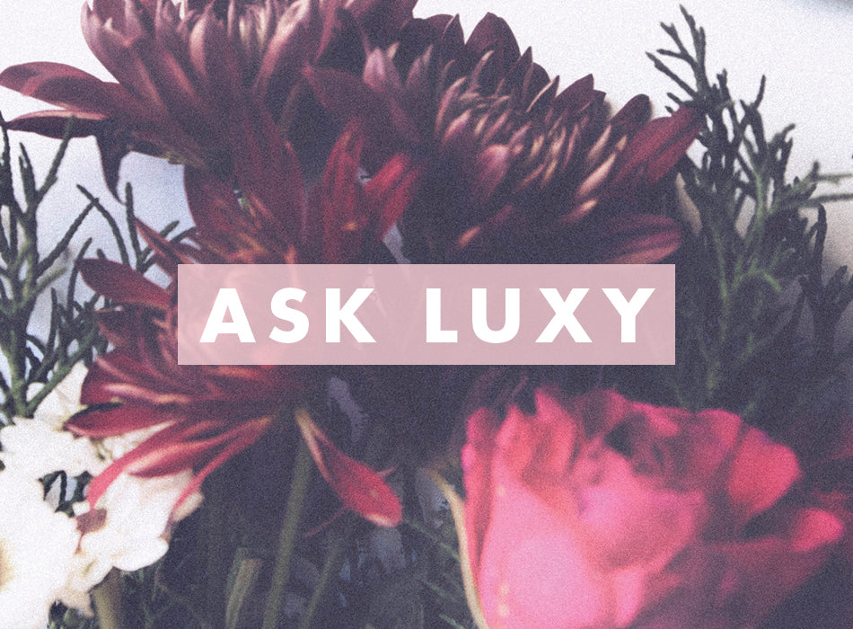 Ask Luxy 