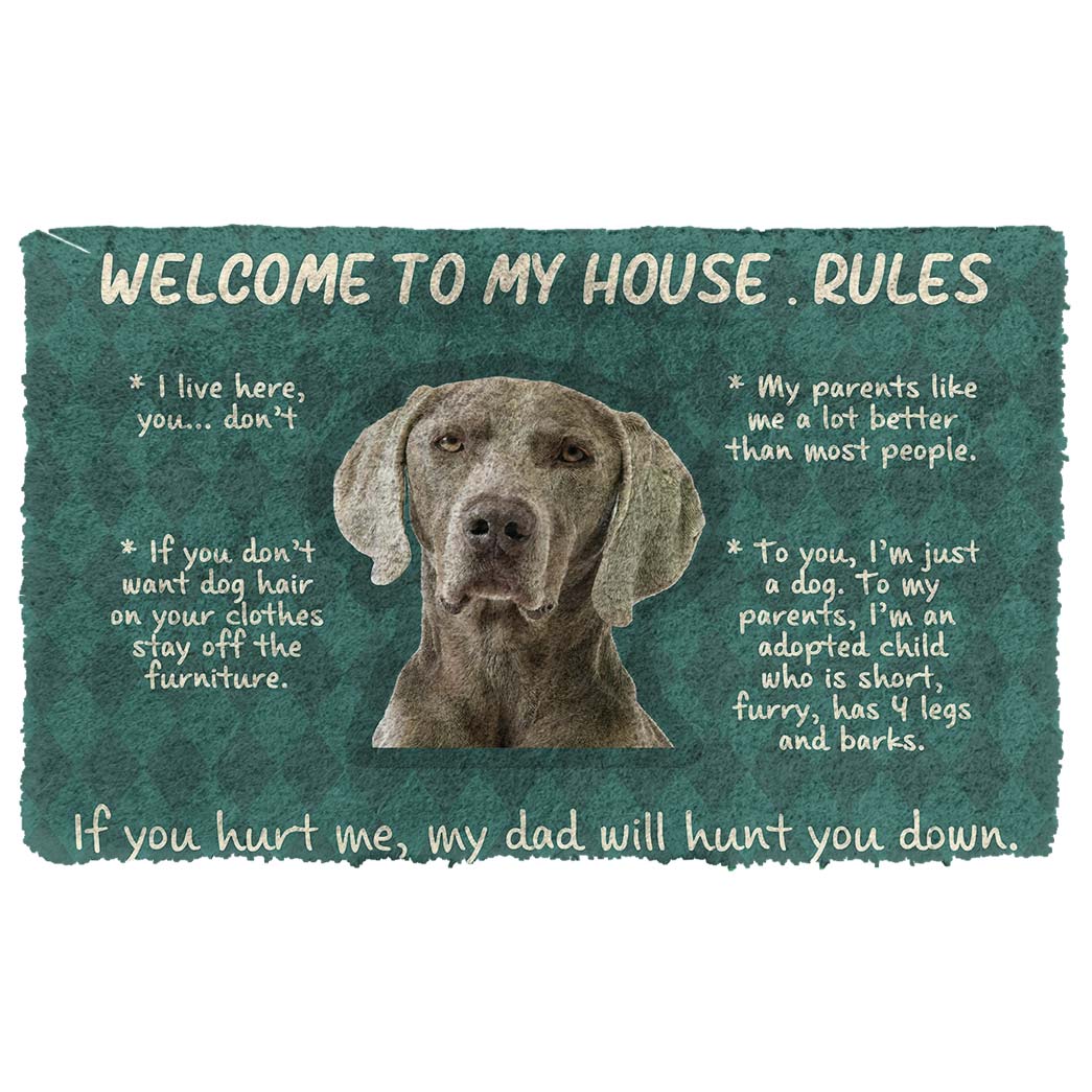 how do you welcome a dog in your house