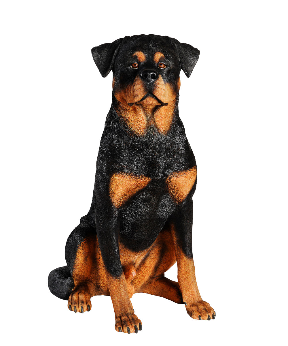 is the rottweiler legal in cayman islands