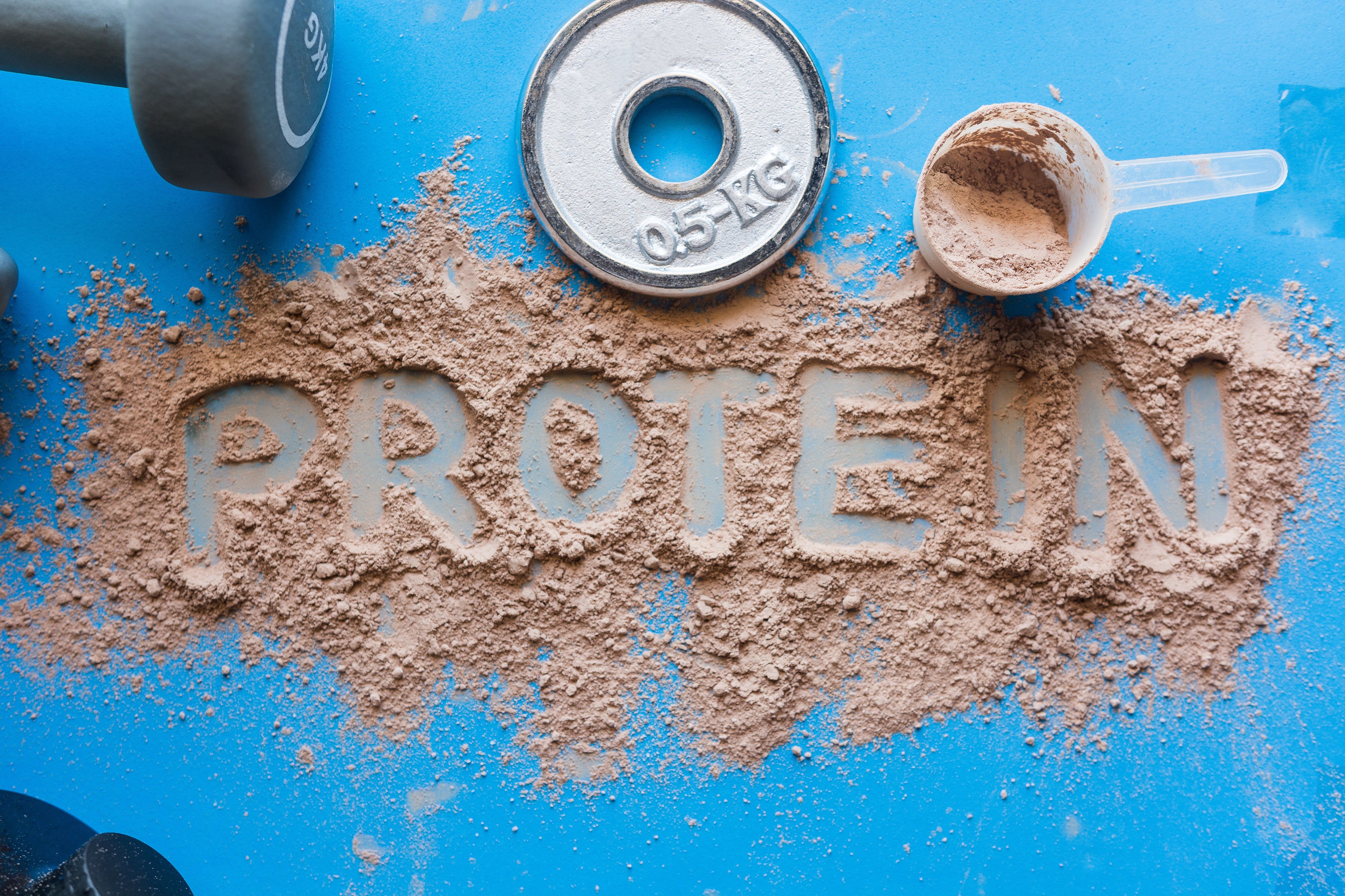 Introduction to Protein Types