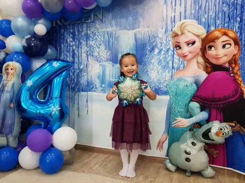 Frozen Anna Elsa Princess Party Photo Background Snow Queen Colorful W –  dreamybackdrop