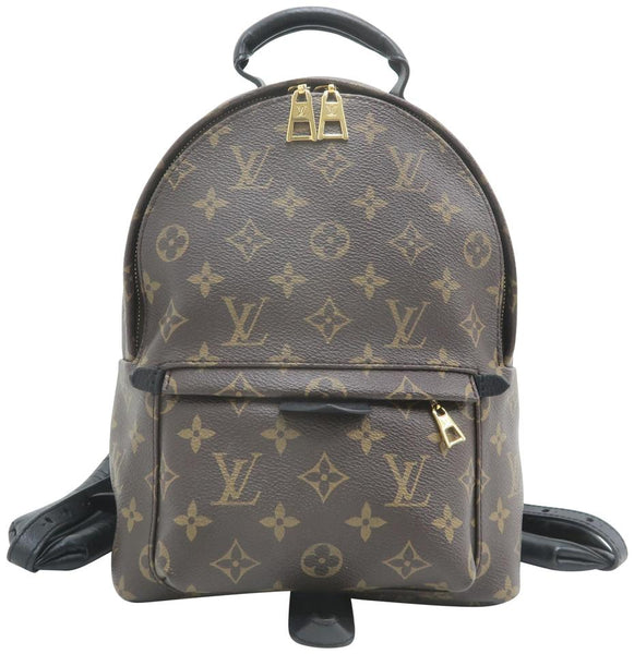 Louis Vuitton Palm Springs Pm Monogram Brown Canvas Backpack – LuxeDH