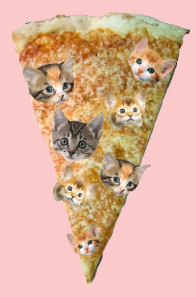 Pizza Cat Eat The Crust