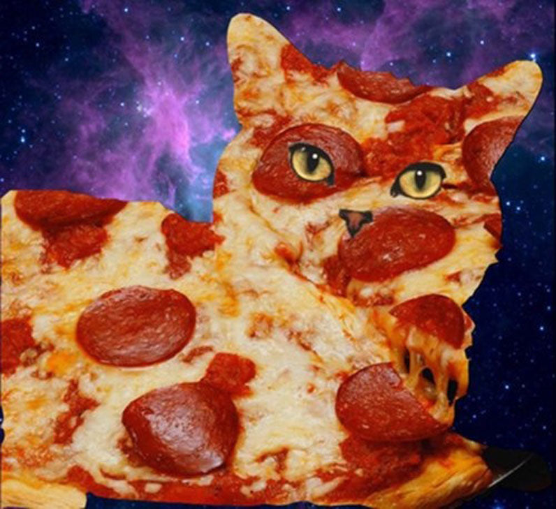 pizzacat_2.jpg?1805