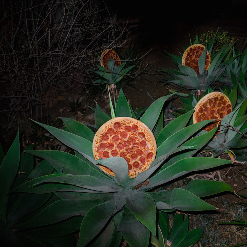 pizza plant