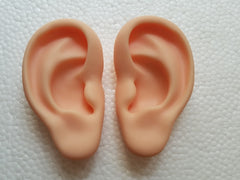 Ear model silicone