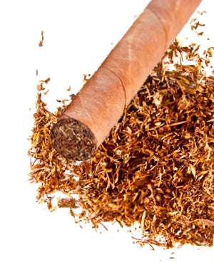 An In Depth Guide on How to Handle Tobacco Beetles in Your Cigar Humidor
                        