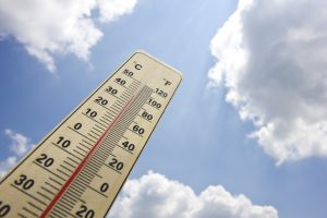 What Is Thermoelectric Cooling — and Is It Right for You?