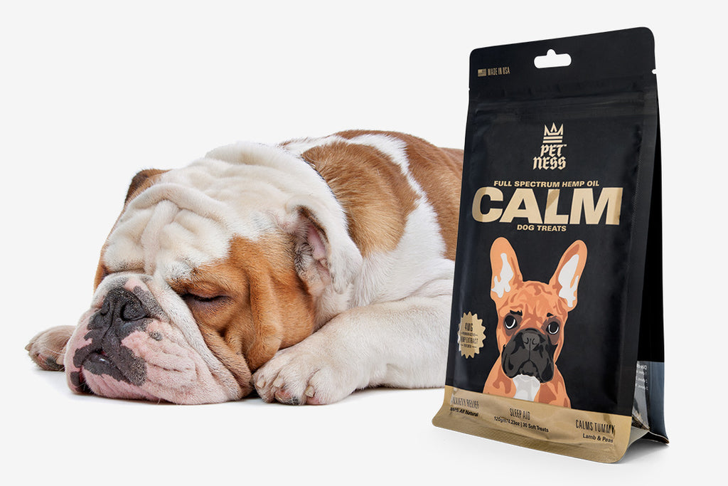 dog melatonin treats