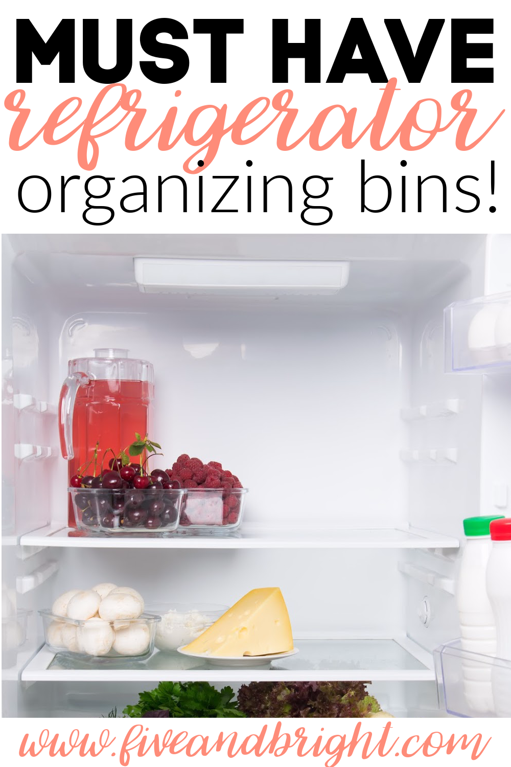 Best Refrigerator Organizing Bins