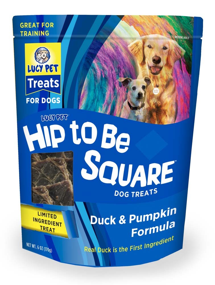 duck and pumpkin dog treats