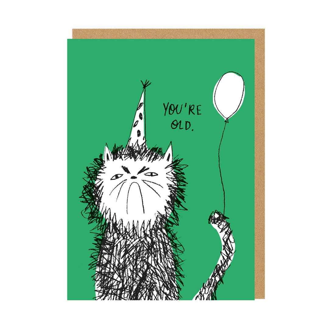 You’re Old Cat Birthday Card