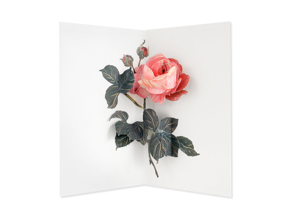Rose 3D Layered Greeting Card