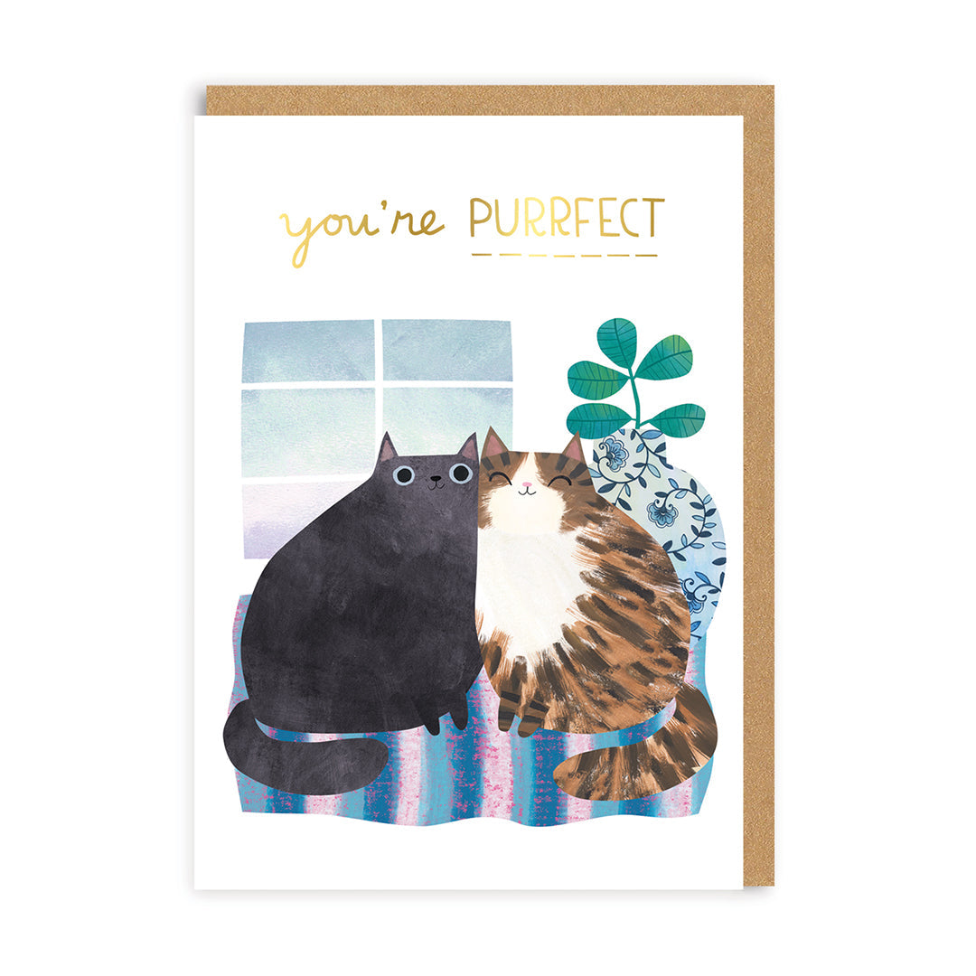 Valentine’s Day | Cute Valentines Card For Cat Lovers | Anniversary Cats Greeting Card | Ohh Deer Unique Valentine’s Card for Him or Her | Made In The UK, Eco-Friendly Materials, Plastic Free Packaging