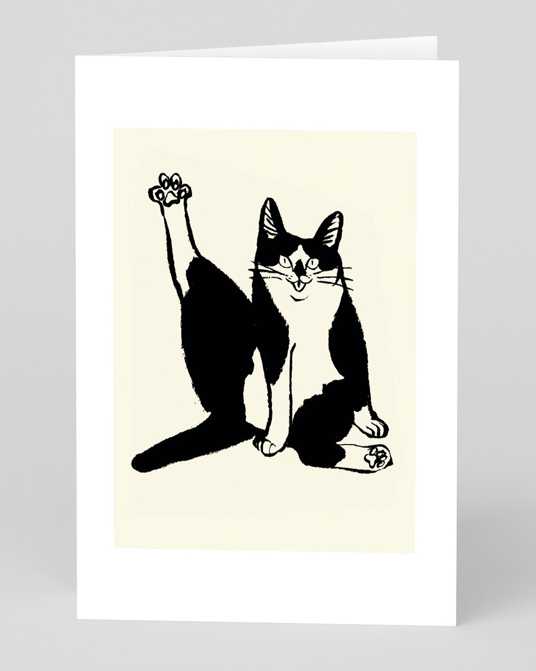 Birthday Card Cat Pose Greeting Card