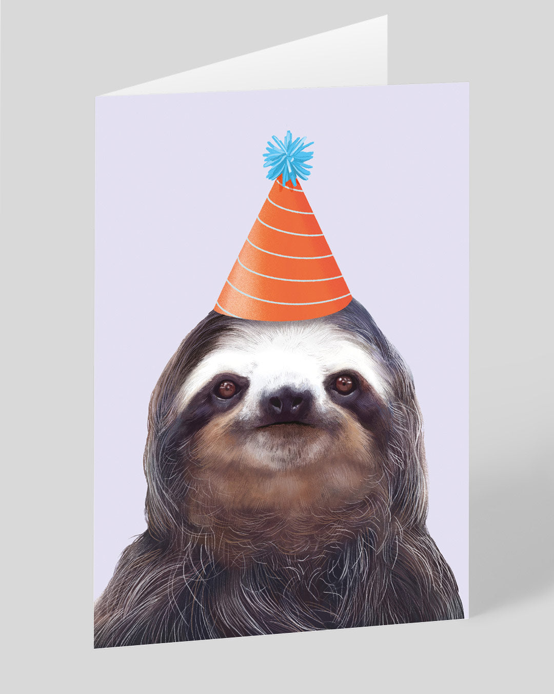 Birthday Card Party Hat Sloth Greeting Card