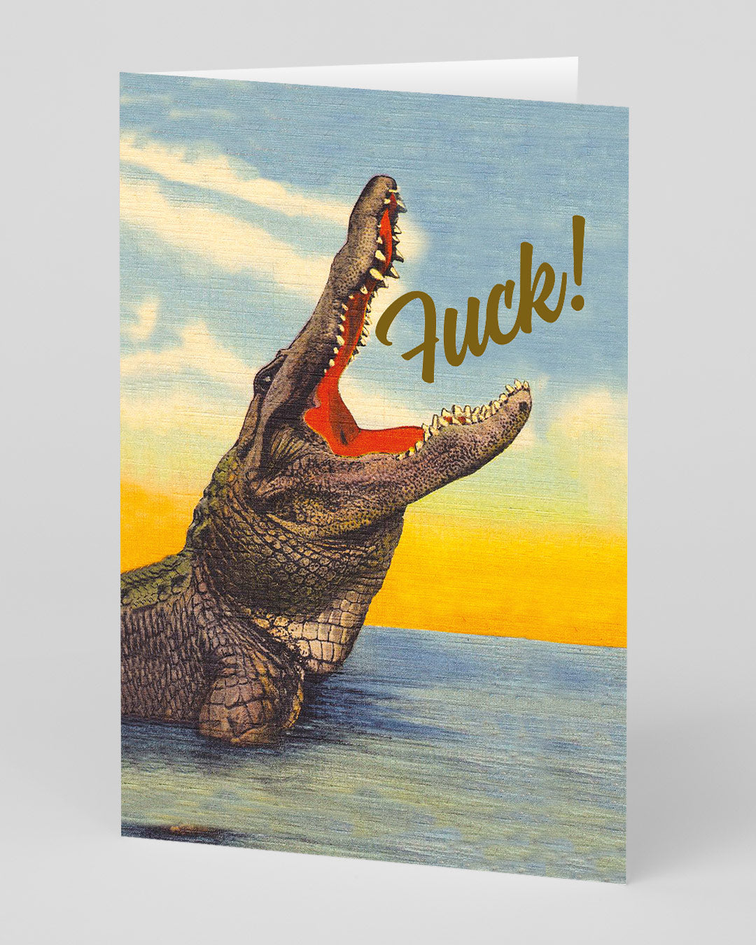 Funny Birthday Card Crock! Greeting Card