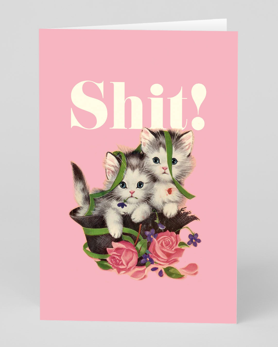 Birthday Card Shit! Kitties Greeting Card