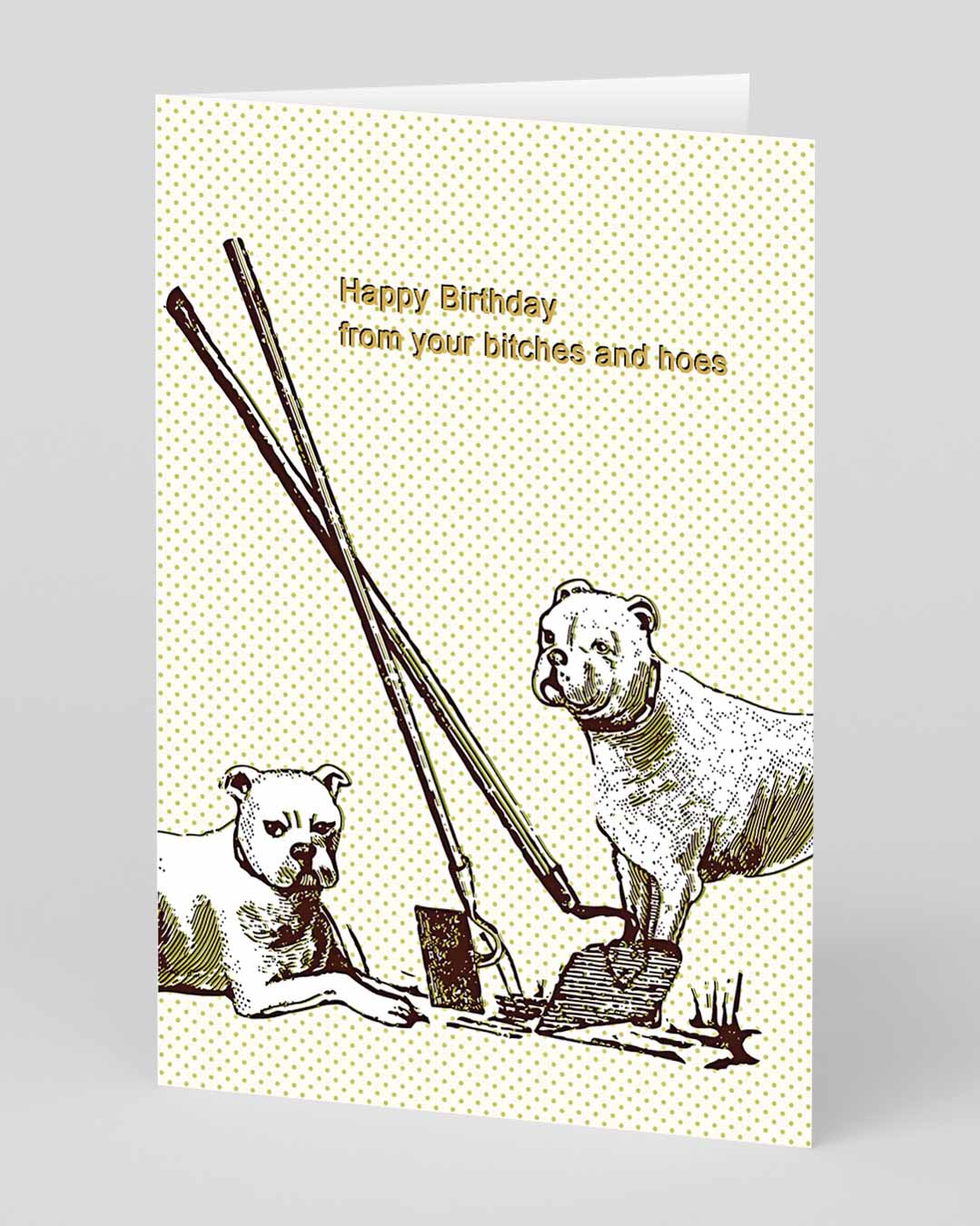 Rude Birthday Card Bitches and Hoes Birthday Card